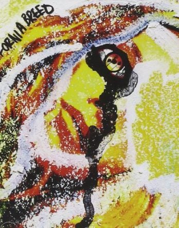 CD CALIFORNIA BREED mit JULIAN LENNON