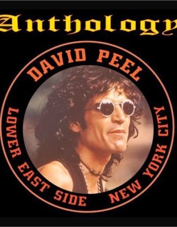 DAVID PEEL: CD ANTHOLOGY