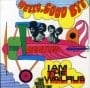 BEATLES-Magnet HELLO GOODBYE SINGLE COVER GERMANY.