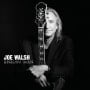JOE WALSH (mit RINGO STARR): CD + DVD ANALOG MAN